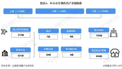 2023年中山市生物醫藥產業鏈全景解析 政策、圖譜、布局與AI軟件新動能